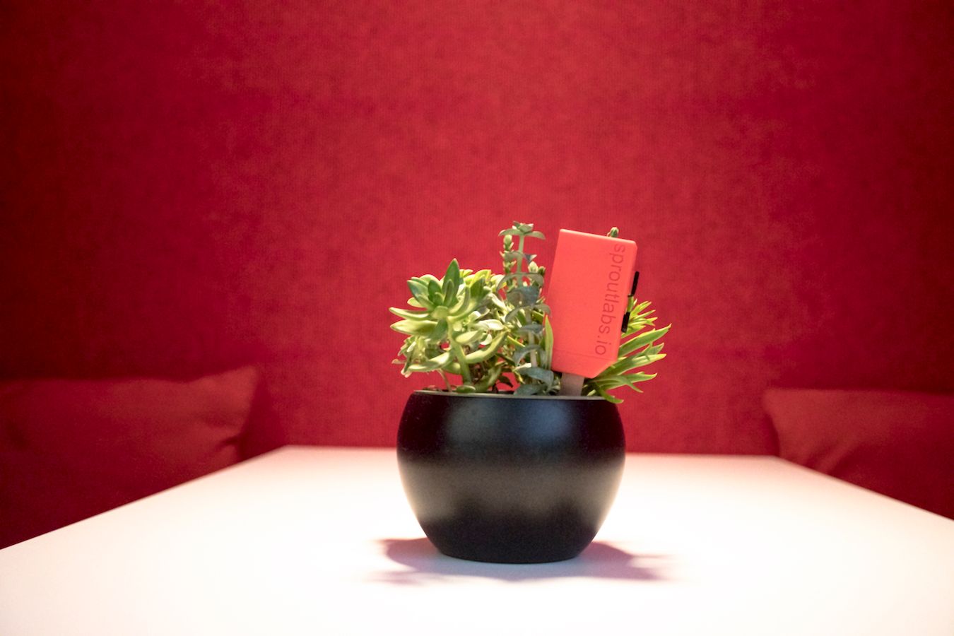 分享一張宣傳照片!